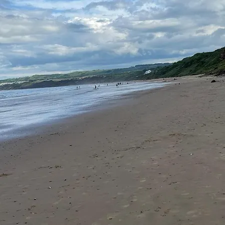 Caravan, Blue Dolphin, Holiday home *